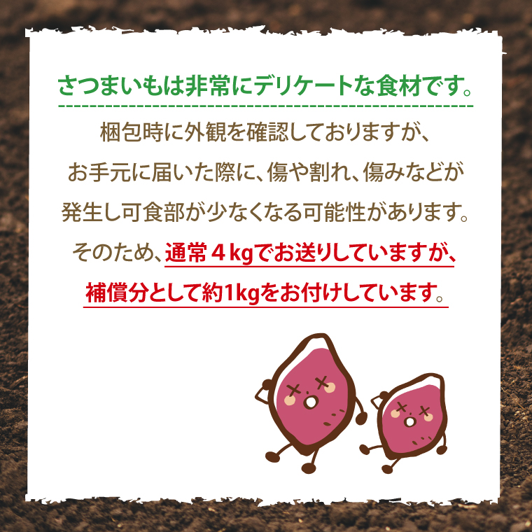 【先行予約】鹿畑ポテト小屋の生さつまいも ふくむらさき 計 約5kg（４kg+約25％補償分）【鹿嶋市 減農薬 熟成 貯蔵 サツマイモ 紫いも 甘い 5キロ 10000円以内 1万円以内】 (KBR-12)