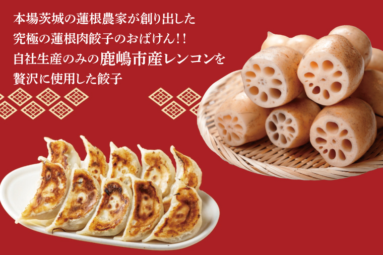 【12ヶ月定期便】蓮根肉餃子のおばけん【40粒×12回】【野菜 ギョーザ れんこん しゃきしゃき おいしい ストック 茨城県 鹿嶋市】（KBU-27）