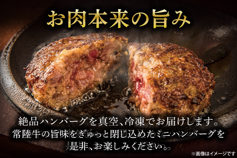 常陸牛100％ vs 常陸牛入りハンバーグの食べ比べセット（10個入り）【牛肉 国産牛 黒毛和牛 和牛 国産黒毛和牛 ブランド牛肉 ブランド牛 お肉 A4ランク A5ランク 鹿嶋市 鹿嶋 茨城県】 (KCW-11)