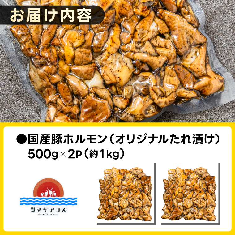 かしまホルモン 炭火焼き オリジナルたれ漬 約１kg（500g×２パック）(KDQ-3)