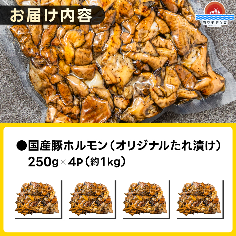かしまホルモン 炭火焼き オリジナルたれ漬 約１kg（250g×４パック）(KDQ-4)
