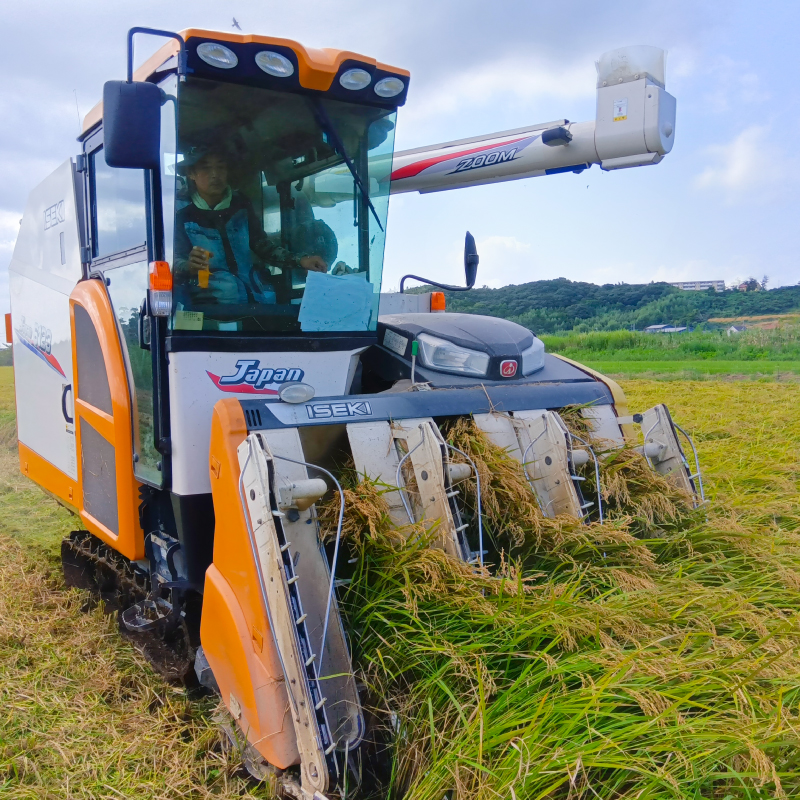 ★令和8年産 先行予約★ 数量限定 米 精米 白米 10kg「こしひかり」先行予約 鹿嶋市産【令和8年産 コシヒカリ 10キロ お米 コメ ごはん ライス ブランド米 茨城県 鹿嶋市】(KEJ-8) 10kg（単品）