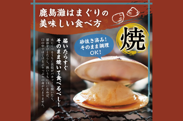 日本一の生産地　茨城県鹿島灘産はまぐり 18粒以上【ハマグリ 蛤 海鮮 魚貝 冷蔵 縁起物 酒蒸し お吸い物 鹿島灘 茨城県 鹿嶋市 35000円以内】（KM-16）
