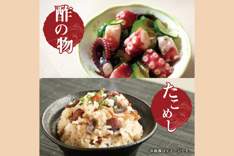 鹿島だこ【たこ タコ 蛸 海鮮 新鮮 魚貝 地たこ 刺身 鹿島灘 鹿嶋市 茨城県 20000円以内 2万円以内】（KM-9）