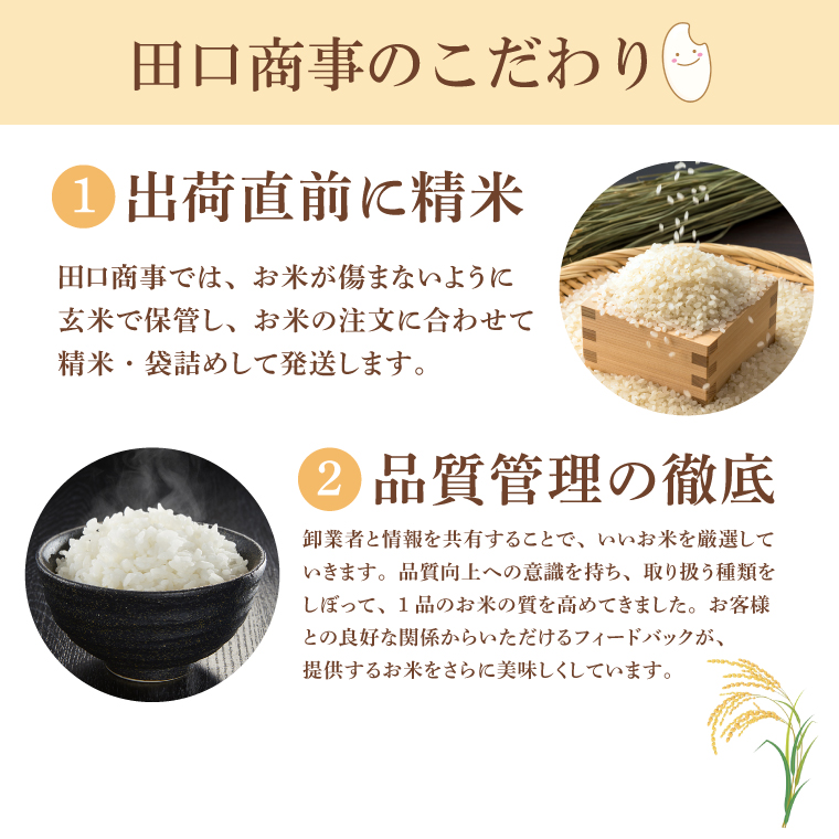 ★3ヶ月定期便★ 精米 コシヒカリ 10kg (5kg × 2袋) 総計 30kg【令和7年産】米 精米 白米 こしひかり 定期便 茨城県 鹿嶋市 国産 送料無料 お米 ごはん おにぎり 冷めても 美味しい 粘り うまみ 厳選 出荷直前精米 ツヤ かおり うまい（KY-3） 10kg（3回定期便）