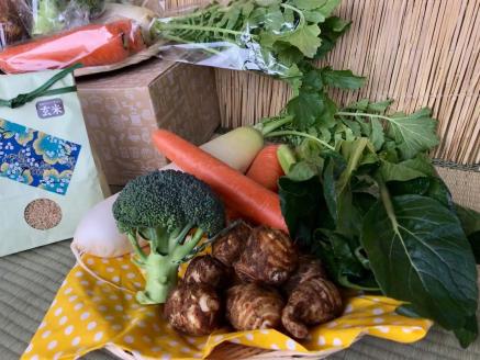 【栽培期間無農薬＆減農薬】お米(5kg)と野菜セット 【おいしい ごはん やさい セット グルメ 無農薬 減農薬】（KBE-22）