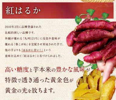 ★先行予約★ 人気商品 干芋紅はるかセット 2種5袋セット 計660g【干し芋 ほしいも 紅はるか 平干し 丸干し 食べ比べ 国産 鹿嶋市 茨城県】（KE-13）