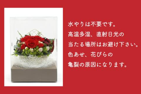 プリザーブドフラワーアレンジメント　レッドのアレンジメント (KCO-1)