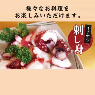 鹿島だこ 鹿島灘はまぐり 大容量セット 6~8人前相当【たこ タコ 蛸 蛤 ハマグリ 海鮮 新鮮 魚貝 地たこ 刺身 鹿島灘 鹿嶋市 茨城県】（KM-11）