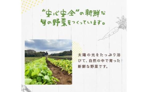 【先行予約】にんじん 5kg 旬の安心野菜【人参 ニンジン 無農薬 有機 栽培 野菜 サラダ 料理 オーガニック 数量 限定 人気 栄養 茨城県 鹿嶋市】 (KAX-15)