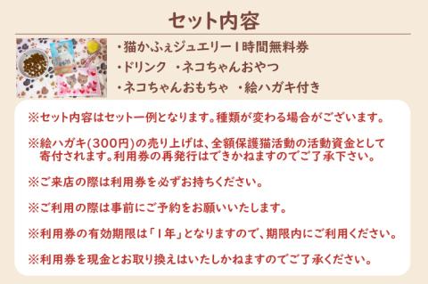 鹿嶋市の癒しの空間　猫カフェでまったり　猫かふぇジュエリー　１時間利用券セット　２名様 （KCS-2）