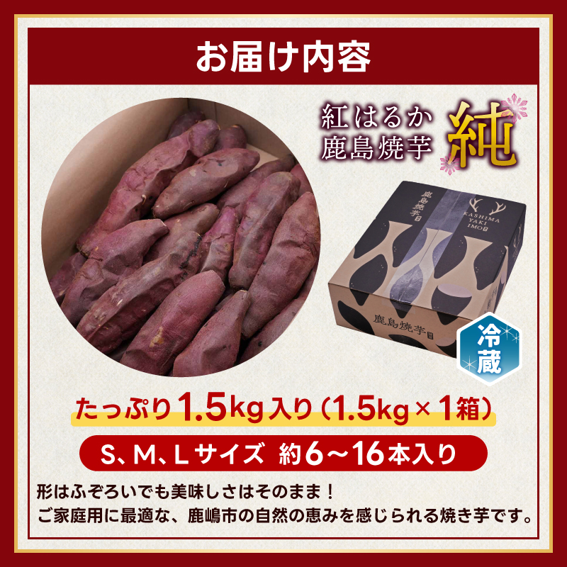 ★令和7年産 新芋★【人気返礼品】鹿島焼芋 純 1.5kg【冷蔵 ひやし 焼き芋 やきいも さつまいも 芋 お菓子 おやつ デザート スイーツ 和菓子 和スイーツ 鹿嶋市 茨城県】（KBK-8-2） 1.5kg