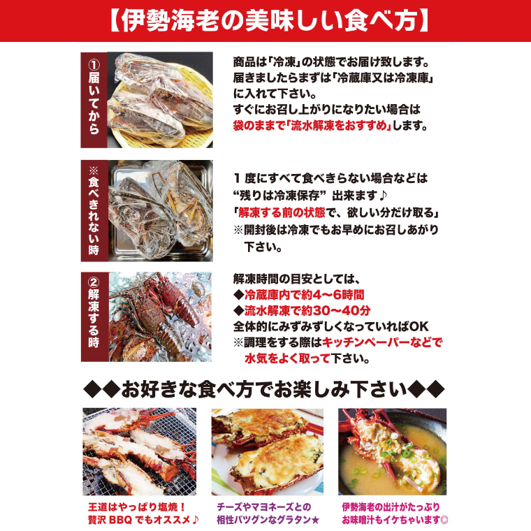 【漁師直送／活〆冷凍】伊勢海老（1kg／2~5尾）（KBL-18)