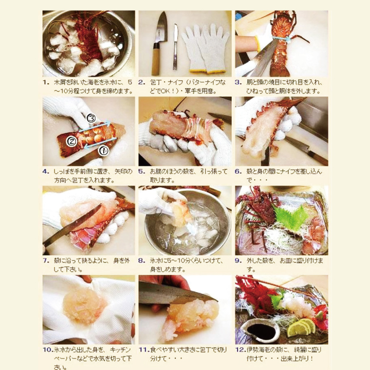 【漁師直送／生】伊勢海老（1kg／2〜5尾）（KBL-22）