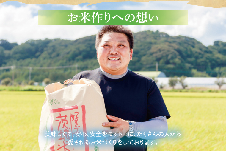 【令和7年産】鹿嶋市産ミルキークイーンと特別栽培米コシヒカリ食べ比べセット計10kg(各5kg×1袋)【お米 米 こしひかり 特別栽培 有機肥料 有機栽培 鹿嶋市 茨城県 玄米 白米 新米 おにぎり ごはん 30000円以内 3万円以内】(KBS-10） 食べ比べ 10kg