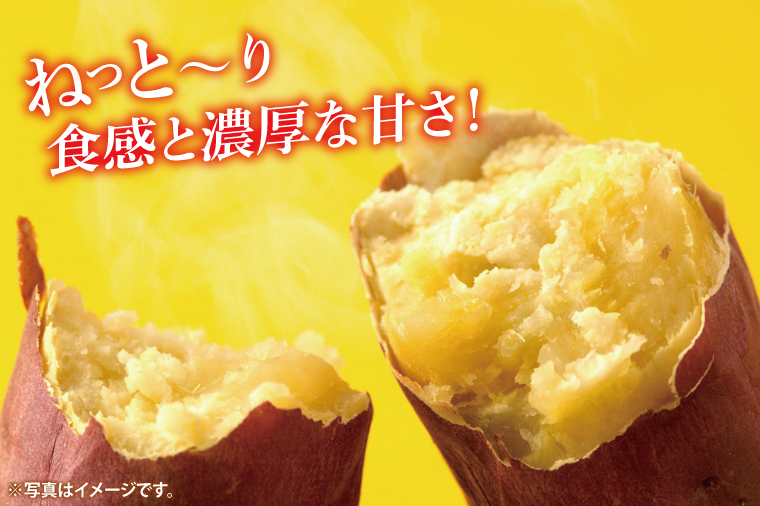 【先行予約】【訳あり 不揃い】完熟高糖度 さつまいも（紅はるか）約5kg（サイズ：2L～4L）【熟成 サツマイモ 焼き芋 キュアリング 茨城県 鹿嶋市産】【2025年12月～順次発送】（KDV-001） 2L～4L