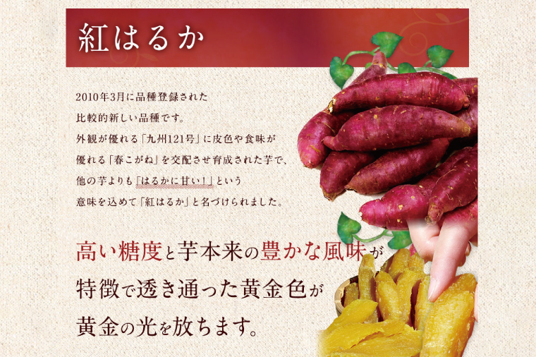 ★先行予約★ 人気商品 干芋セット(小) 4種5袋セット 計840g【干し芋 食べ比べ 紅はるか 玉豊 シルクスイート 平干し 丸干し 国産 鹿嶋市 茨城県】（KE-11）