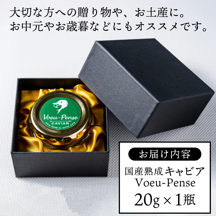 【茨城県共通返礼品・河内町産】＼12月より発送 先行予約／国産熟成キャビアVoeu-Pense (20g×１瓶）【トキタ 珍味 コラーゲン DHA・EPA 国産 熟成 お土産 贈り物】（KED-01)
