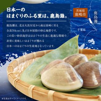 鹿島だこ 鹿島灘はまぐり 満足セット 3～5人前相当【たこ タコ 蛸 蛤 ハマグリ 海鮮 新鮮 魚貝 地たこ 刺身 鹿島灘 鹿嶋市 茨城県】（KM-10）