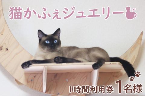 鹿嶋市の癒しの空間　猫カフェでまったり　猫かふぇジュエリー　１時間利用券セット　１名様 （KCS-1）