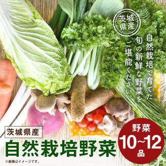 【共通返礼品】自然栽培野菜10～12品目(KBE-111)