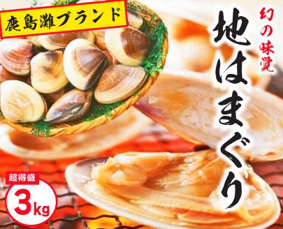 KBL-6　鹿島灘特産★ブランド地はまぐり（超特盛3kg） BBQ 　貝類　はまぐり 鹿嶋灘 鹿嶋市 茨城県 送料無料