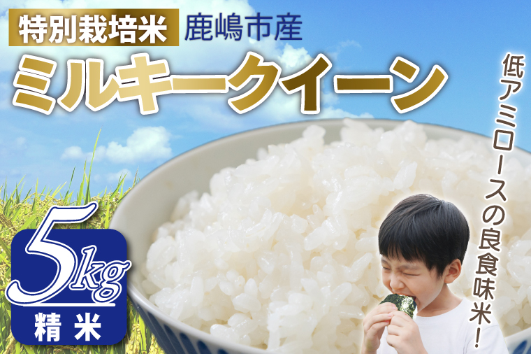 令和7年産 鹿嶋市産 ミルキークイーン（精米）5kg【ミルキークイーン 精米 米 お米 良食味米 茨城県 鹿嶋市 15000円以内】（KAK-6） ミルキークイーン 5kg