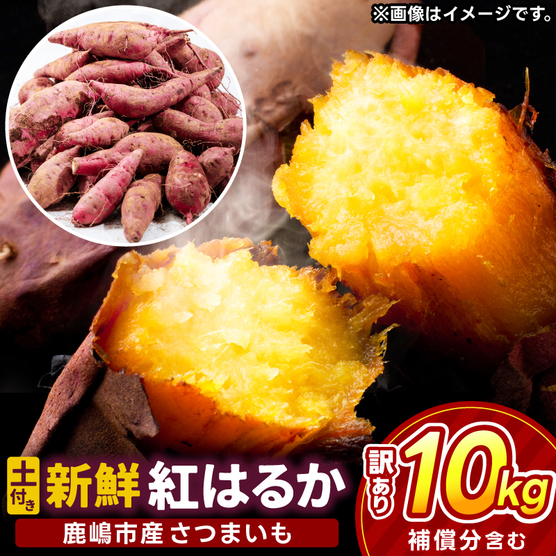 【先行予約】【2025年10月以降発送】【訳あり】 紅はるか さつまいも 計 約10kg (8kg+約25%補償分) 新鮮 土付き【サツマイモ 紅はるか 茨城県 鹿嶋市 10000円以下】（KAM-24） 10kg