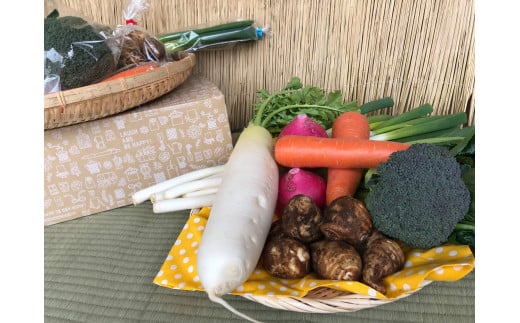 【10ヵ月定期便】【栽培期間中無農薬＆減農薬】季節の野菜ハーフセット（6～7品）【自然 健康 農薬 なし 減農薬 美味しい 安全 やさい 10回 鹿嶋市】（KBE-112）