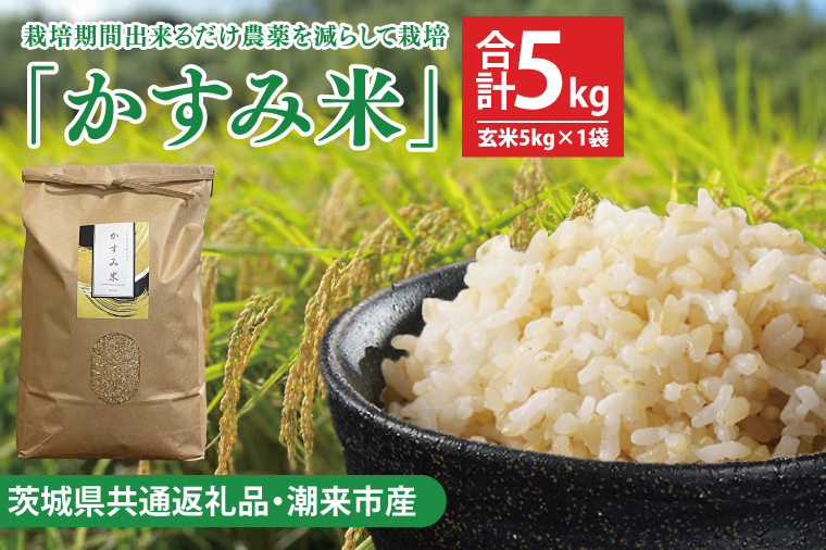 【茨城県共通返礼品・潮来市産】【先行予約】令和7年産新米　栽培期間出来るだけ農薬を減らして作る「かすみ米」（コシヒカリ）玄米5kg 【げんまい 減農薬 こしひかり おいしい おこめ 安心 安全 健康】（KBE-108）