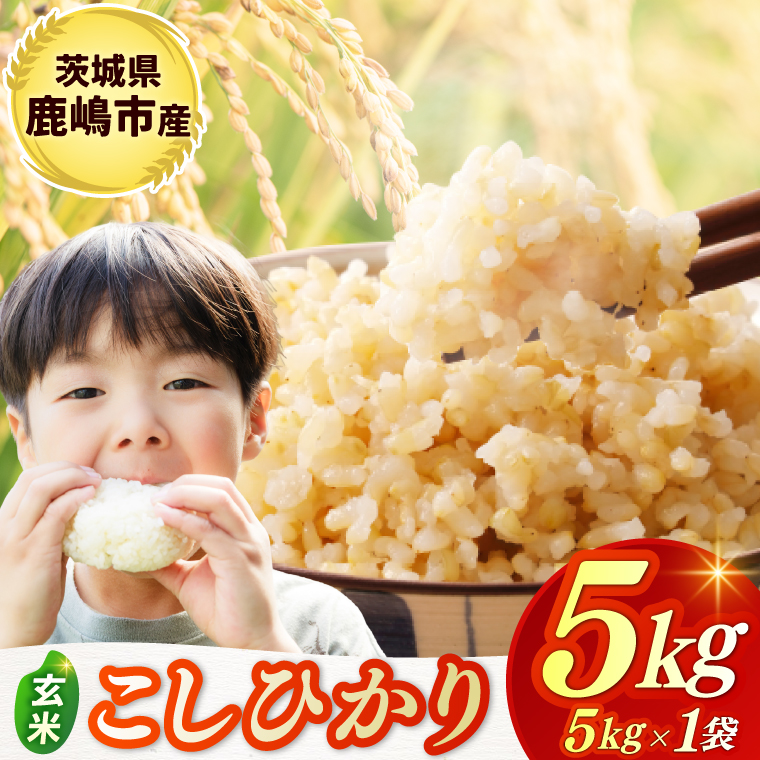 ★令和7年産米★ お米 コシヒカリ 玄米 5kg 鹿嶋市産【こしひかり 米 コメ ごはん ライス ブランド米 茨城県 鹿嶋市】(KBR-21)