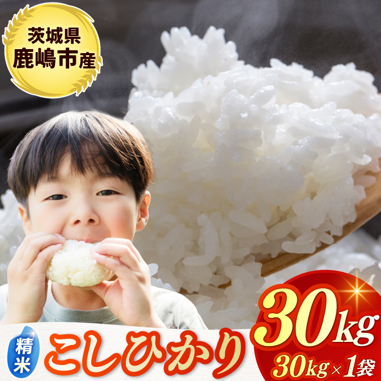 ★令和7年産米★ お米 コシヒカリ 精米 30kg 鹿嶋市産【こしひかり 米 コメ ごはん ライス ブランド米 茨城県 鹿嶋市】(KBR-24)