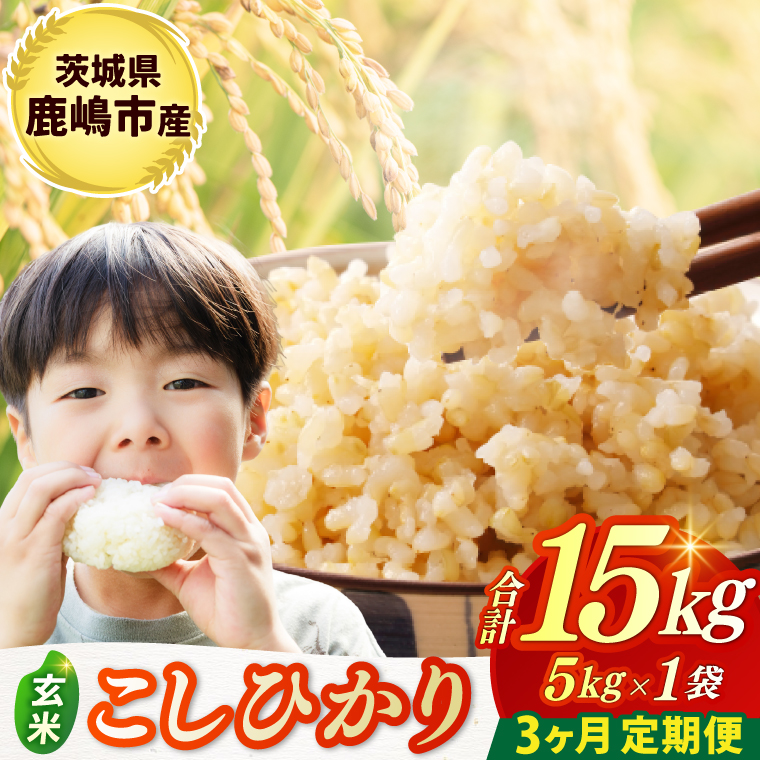 ★令和7年産米★ 【3ヶ月定期便】 お米 コシヒカリ 玄米 5kg × 3回 鹿嶋市産【こしひかり 米 コメ ごはん ライス ブランド米 茨城県 鹿嶋市】(KBR-27)