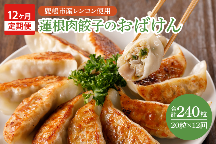 【12ヶ月定期便】蓮根肉餃子のおばけん【20粒×12回】【野菜 ギョーザ れんこん しゃきしゃき おいしい ストック 茨城県 鹿嶋市】（KBU-30）