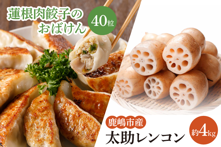 【先行予約】【セット販売】太助レンコン&蓮根肉餃子のおばけん 【4kg&40粒】【野菜 ギョーザ れんこん しゃきしゃき おいしい 食べきり 茨城県 鹿嶋市】（KBU-6）