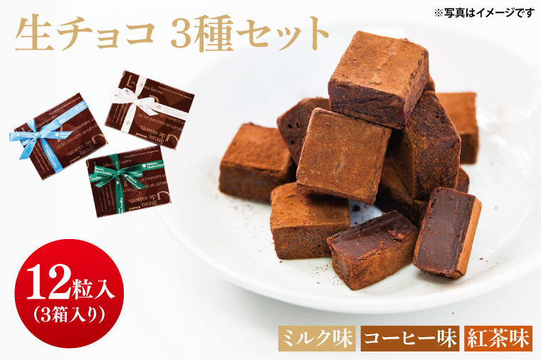 生チョコ 3種（12粒×3箱）【チョコレート チョコ 紅茶 コーヒー 珈琲 ミルク お菓子 洋菓子 デザート ギフト 贈り物 バレンタイン バレンタインデー 鹿嶋市 茨城県 キャトルフィユ】（KCX-40）