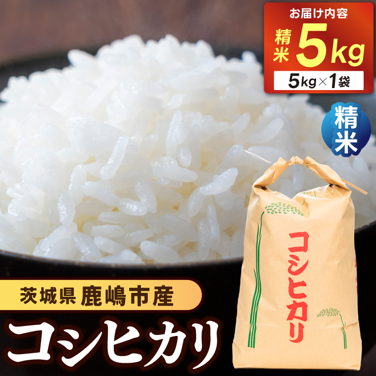 【先行予約】コシヒカリ５kg (精米) 鹿嶋市産【こしひかり 茨城県 鹿嶋市 15000円以内】（KDS-1）