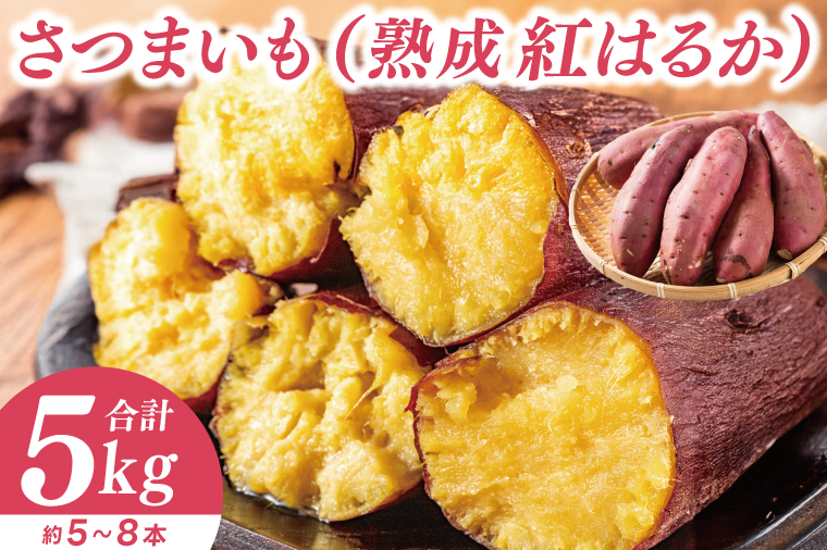 【先行予約】【訳あり 不揃い】完熟高糖度 さつまいも（紅はるか）約5kg（サイズ：2L～4L）【熟成 サツマイモ 焼き芋 キュアリング 茨城県 鹿嶋市産】【2025年12月～順次発送】（KDV-001） 2L～4L