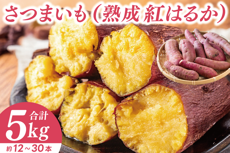 【先行予約】【訳あり 不揃い】完熟高糖度 さつまいも（紅はるか）約5kg（サイズ：2S～L）【熟成 サツマイモ 焼き芋 訳あり 訳あり キュアリング 茨城県 鹿嶋市産】【2025年12月～順次発送】（KDV-002） 2S～L