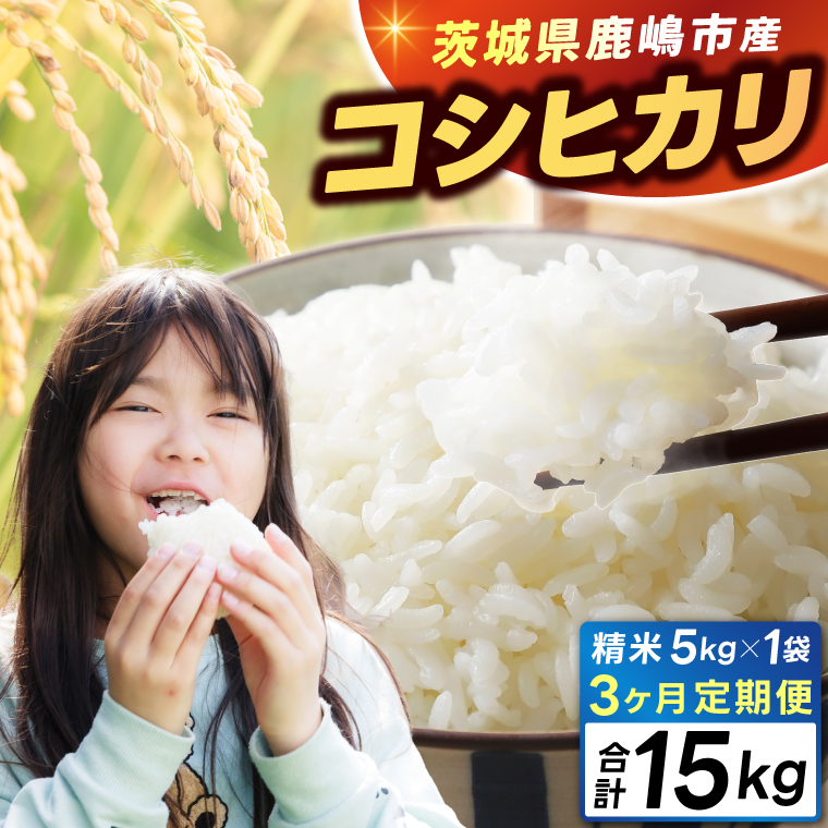 【3ヶ月定期便】★新米 令和7年★ 米 精米 白米 5kg (総計 15kg)「こしひかり」先行予約 鹿嶋市産【令和7年産 コシヒカリ お米 コメ ごはん ライス ブランド米 茨城県 鹿嶋市】(KEJ-4) 5kg（3回定期便）