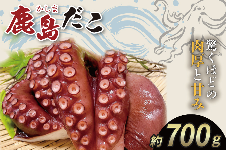 鹿島だこ【たこ タコ 蛸 海鮮 新鮮 魚貝 地たこ 刺身 鹿島灘 鹿嶋市 茨城県 20000円以内 2万円以内】（KM-9）