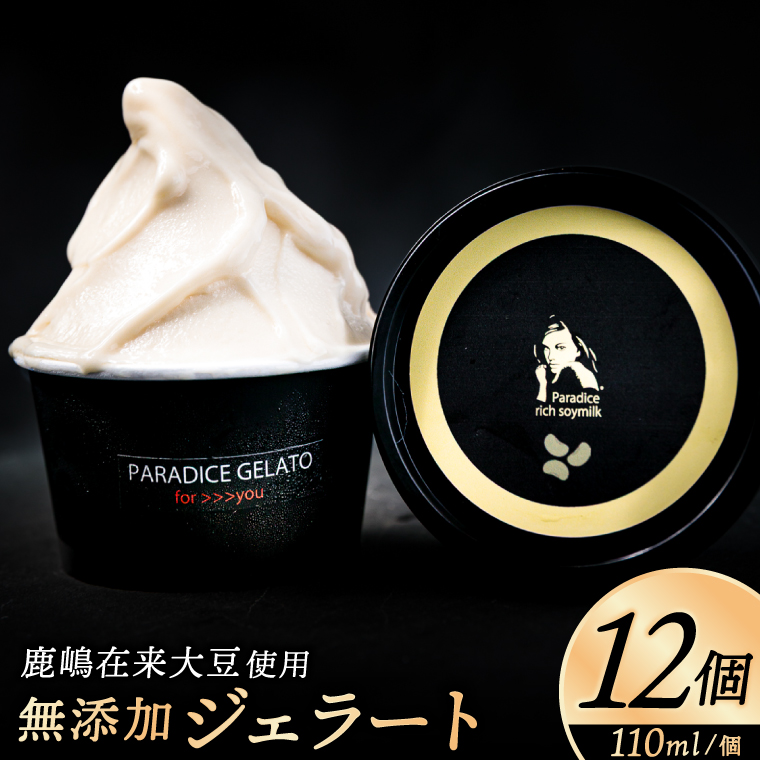 農家が作る自然栽培・無添加ジェラート12個【鹿嶋市 茨城 かしま 送料無料 フルーティー ナチュラル 無添加 オーガニック 豆乳 アイス 麹 甘酒 冷夏 デザート スイーツ おいしい 贈答 ギフト プレゼント 手土産 甘い冷たい ひんやり】（KW-16）