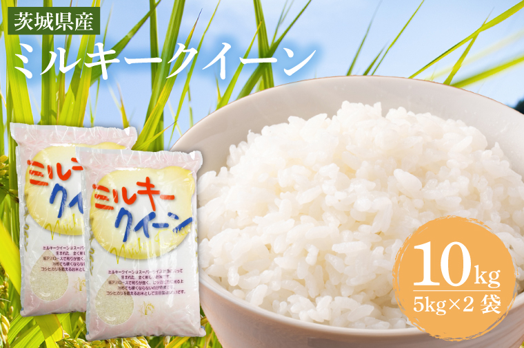 茨城県産ミルキークイーン 10kg (5kg×2袋) 【米 お米 白米 精米 おにぎり 茨城県産 鹿嶋市 国産 送料無料】 (KY-2) 10kg（単品）