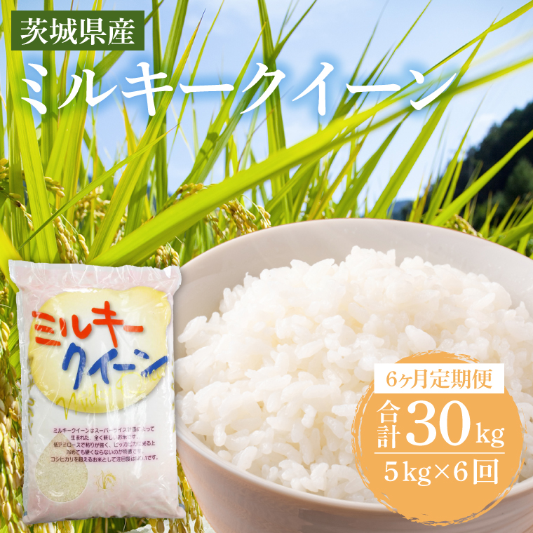 【6ヶ月定期便】茨城県産ミルキークイーン 5kg (5kg×1袋) 【米 お米 白米 精米 おにぎり 茨城県産 鹿嶋市 国産 送料無料】 (KY-25) 5kg（6回定期便）