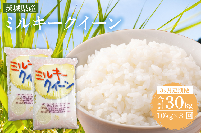 【3ヶ月定期便】茨城県産ミルキークイーン 10kg (5kg×2袋) 【米 お米 白米 精米 おにぎり 茨城県産 鹿嶋市 国産 送料無料】 (KY-8) 10kg（3回定期便）