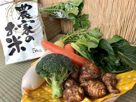 【栽培期間無農薬＆減農薬】お米(5kg)と野菜セット 【おいしい ごはん やさい セット グルメ 無農薬 減農薬】（KBE-22）