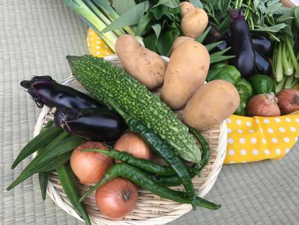 【栽培期間農薬不使用】季節の野菜ハーフセット（KBE-113)
