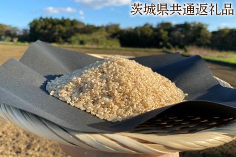 【できるだけ農薬を減らした】R7年産 マキタ超こしひかり 玄米5kg【茨城県共通返礼品・行方市産】【おいしい お米 マキタ 減農薬 安心 げんまい 20000円以下 鹿嶋市】（KBE-75）