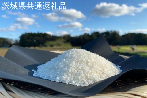 【栽培期間農薬不使用】R7年産 マキタ超こしひかり 白米5kg【茨城県共通返礼品・行方市産】【おいしい お米 マキタ 減農薬 安心  鹿嶋市】（KBE-99）