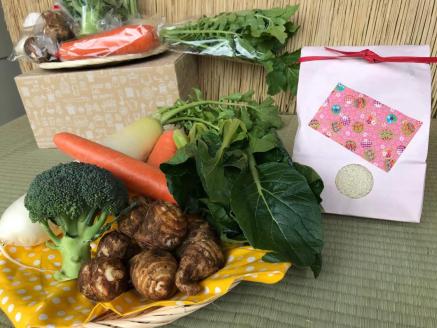 【栽培期間中無農薬＆減農薬】お米(2kg)と季節の野菜（4～5品）のセット 【おいしい ごはん やさい セット グルメ 無農薬 減農薬】（KBE-8）